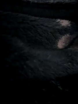 MetalJoint2 online show from November 30, 3:30 am