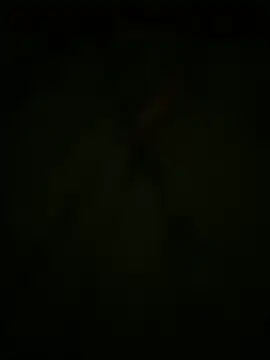 lescro95  online show from October 27, 7:54 am