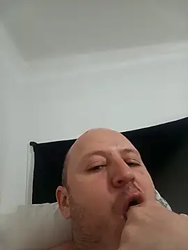 gato- online show from November 7, 12:30 pm