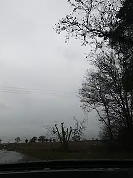 nataliecdlive online show from November 22, 11:10 am