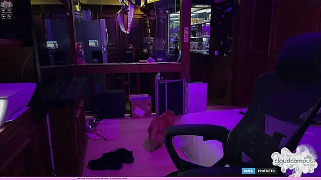 bearcloudcomputa online show from March 1, 8:36 am