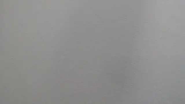 Snapshot of Dyla_n18 chatting on January 4, 9:41 pm Dyla n18 online show from January 4, 9:41 pm