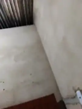 Viny459 online show from January 13, 7:24 am