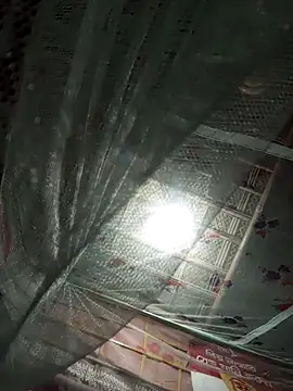 BigDick10inbig online show from December 15, 7:00 pm