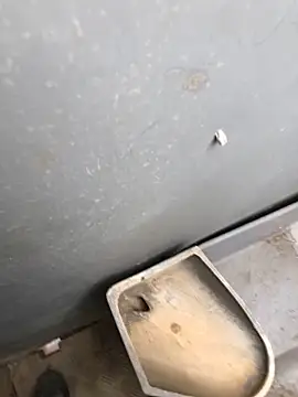 Nicusorescu26 online show from April 20, 9:45 am