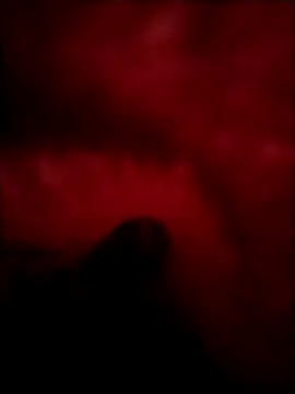 PracticalGum40 online show from December 24, 1:38 am