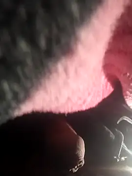 PracticalGum40 online show from March 6, 5:22 pm