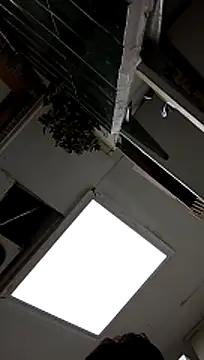 tula chyk online show from May 26, 1:56 am