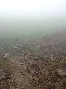 imissyoumylove14 online show from January 17, 1:30 am