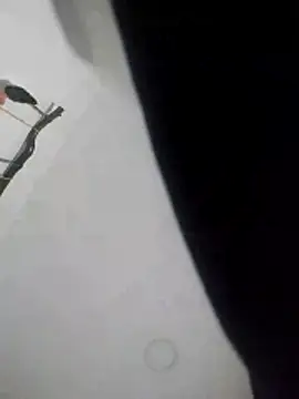 smith2024xxx23cm online show from December 29, 10:12 am