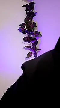 codysmith online show from January 16, 1:25 pm