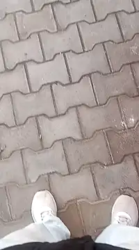 playboyz77 online show from December 29, 11:40 am