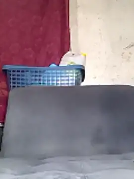 Kaizer1 online show from January 14, 12:15 am