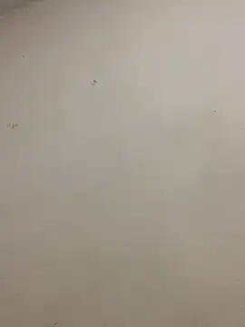 belico223 online show from March 15, 8:00 am