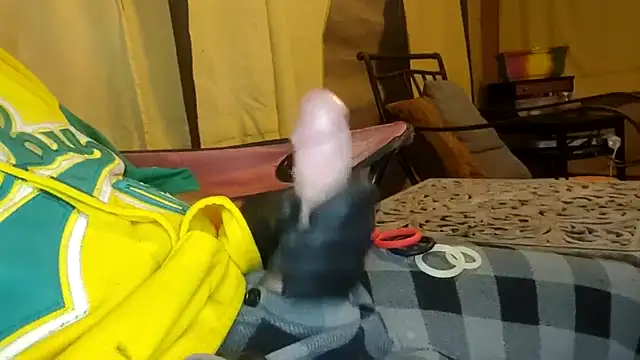 bwcbeat83 online show from October 28, 7:00 am