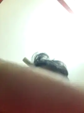 Marvelous Piyush online show from March 6, 8:19 am