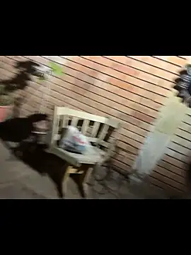 paullliliu online show from June 11, 7:39 am