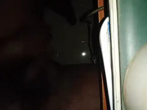 world bigdick1 online show from February 14, 5:14 pm