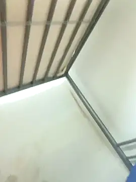 wadmma online show from September 27, 10:51 pm