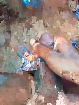 cumcum94 online show from April 21, 5:24 am