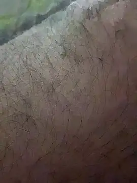 Arabian online show from February 27, 5:47 pm