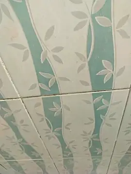 venky2026 online show from February 23, 1:53 am