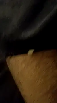 flaquitosexx online show from March 21, 2:07 am