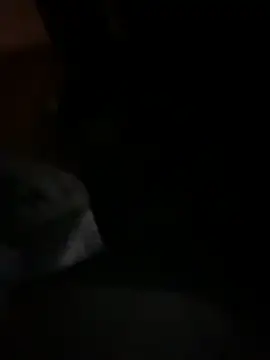 Polaroid White online show from October 23, 9:46 am