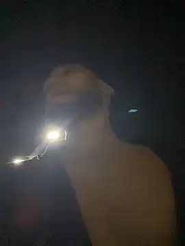 Dasul  online show from December 4, 5:36 am