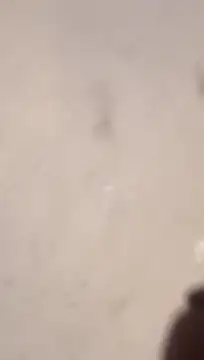 Nick-Ox online show from March 13, 6:47 pm