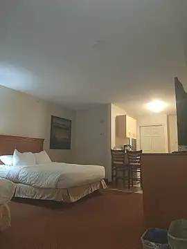 nordekin online show from January 9, 4:51 am