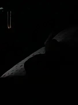 brunao062 online show from November 15, 8:33 pm