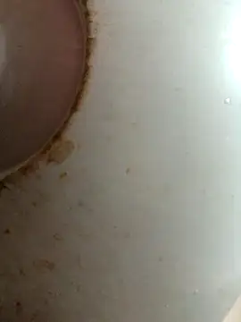 Dabunation online show from October 8, 6:07 am