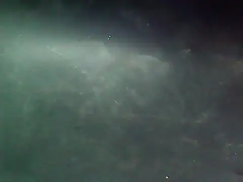 20cmloiro online show from March 5, 10:55 am