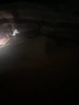 darksagax1 online show from November 27, 12:36 am