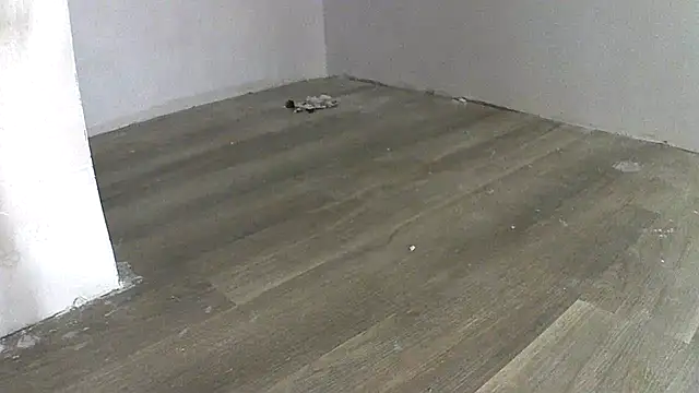 lovemedirty online show from September 29, 6:23 am