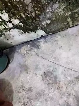 13elvergon online show from November 17, 9:56 am