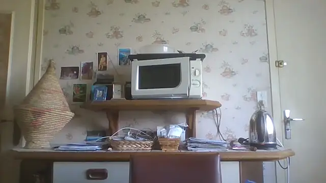 gegevincent online show from April 14, 11:43 am