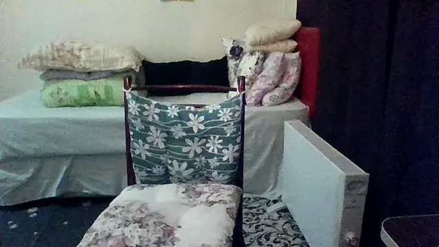 st206boy online show from March 8, 11:09 pm