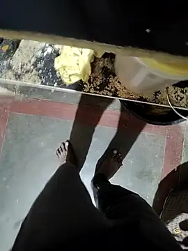 Telugu person12 online show from January 16, 9:12 am