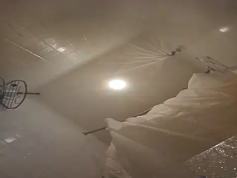 longblacklong online show from October 19, 3:15 pm