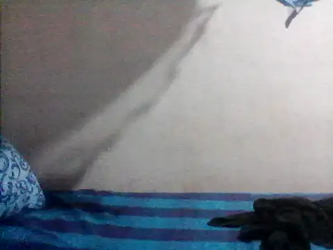 Bullboy8in online show from November 11, 7:41 pm