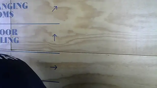 mason fit online show from November 17, 8:34 pm