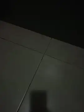 frrrraaannnn online show from April 27, 2:52 am