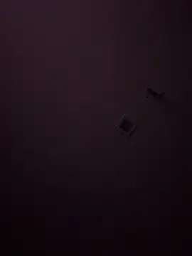 Cazzo1921 online show from April 28, 7:40 pm