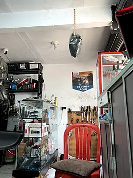 Terra-22cm online show from October 22, 6:32 pm