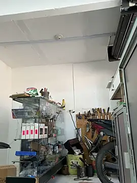 Terra-22cm online show from April 2, 2:03 pm