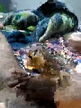 sitonmycock  online show from October 6, 8:57 pm