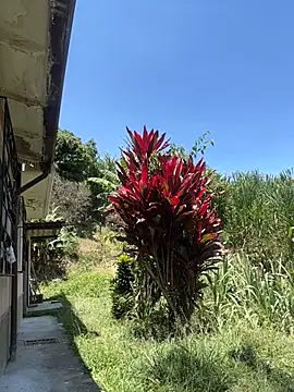 Marco Vega online show from March 31, 5:47 pm