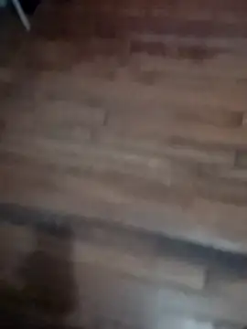 jambesariko online show from October 13, 5:57 am